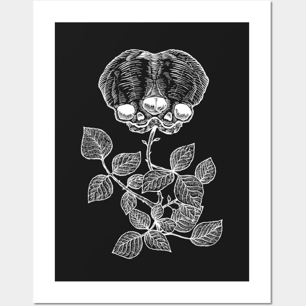 Conjoined Rose Twins Wall Art by LadyMorgan